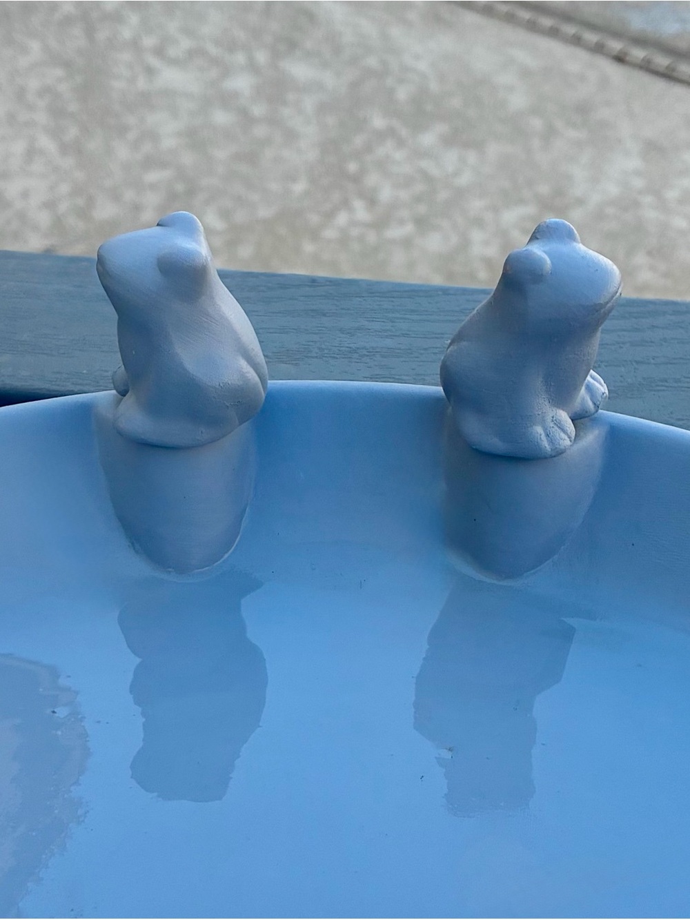 Hand-painted Light Blue ALDI Belavi Ceramic Bird Drinking Trough - Picture 4 of 7